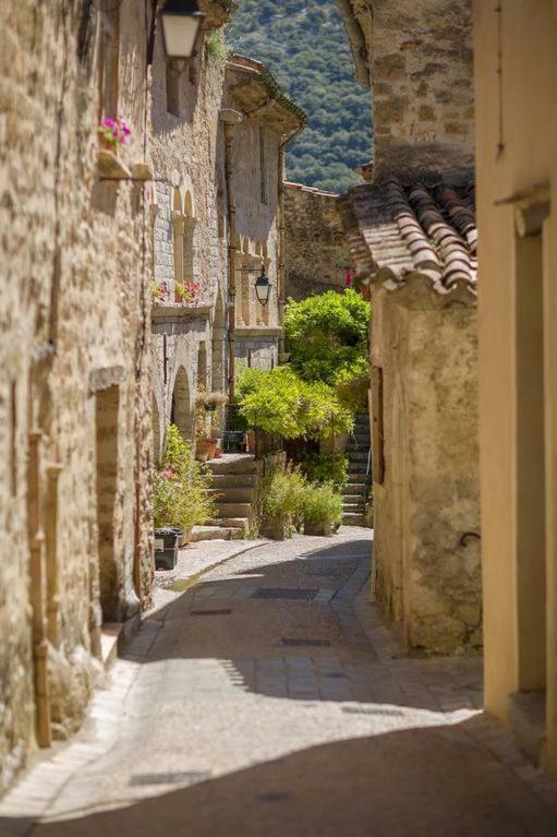 Charmante Maison A Saint Guilhem Le Desert Екстер'єр фото
